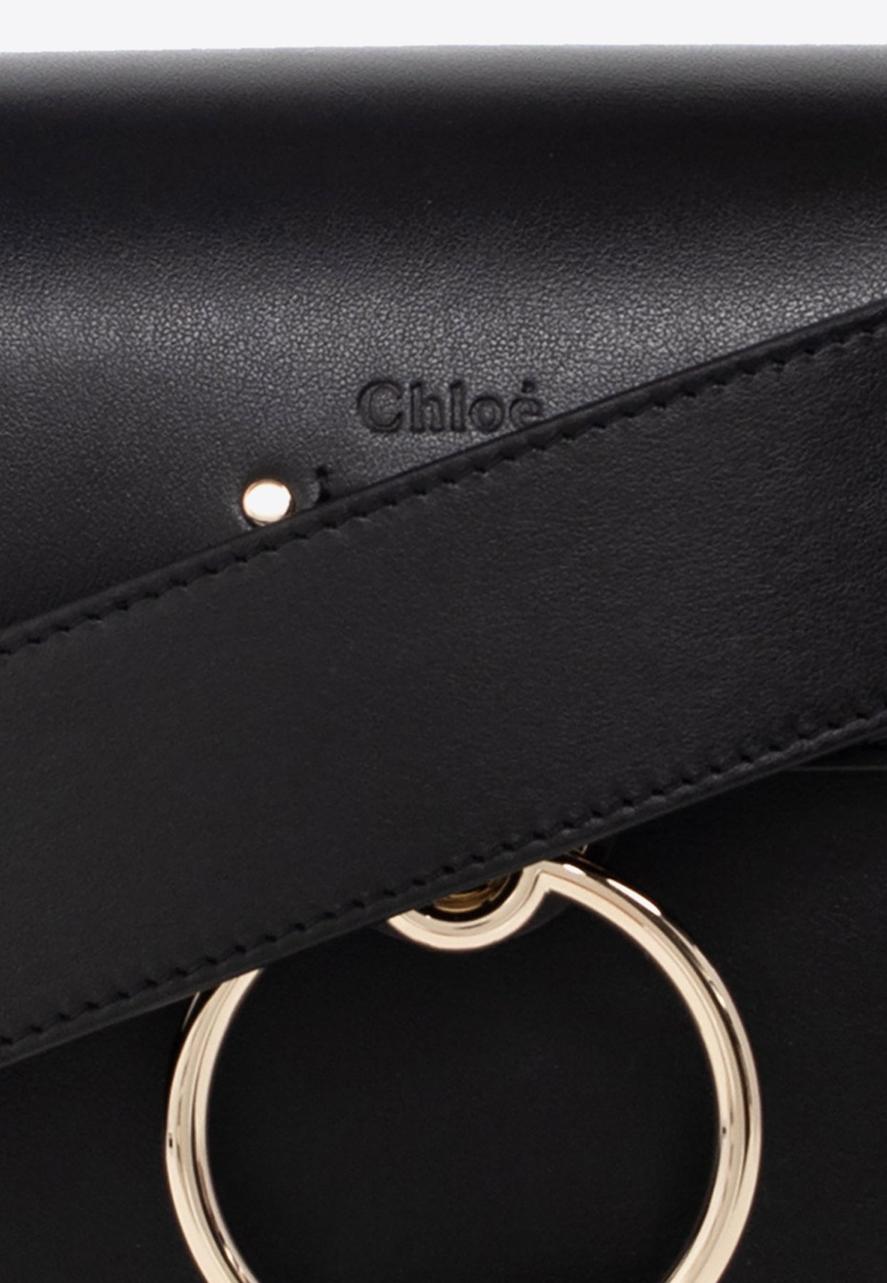 Petit Tess en Cuir Sac Bandoulière