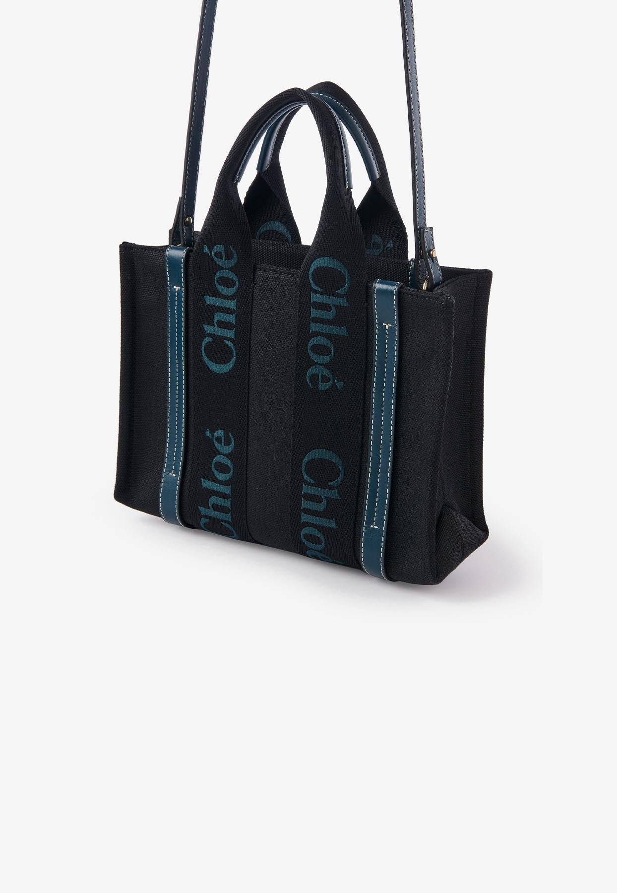 Petit Woody Cabas Bag