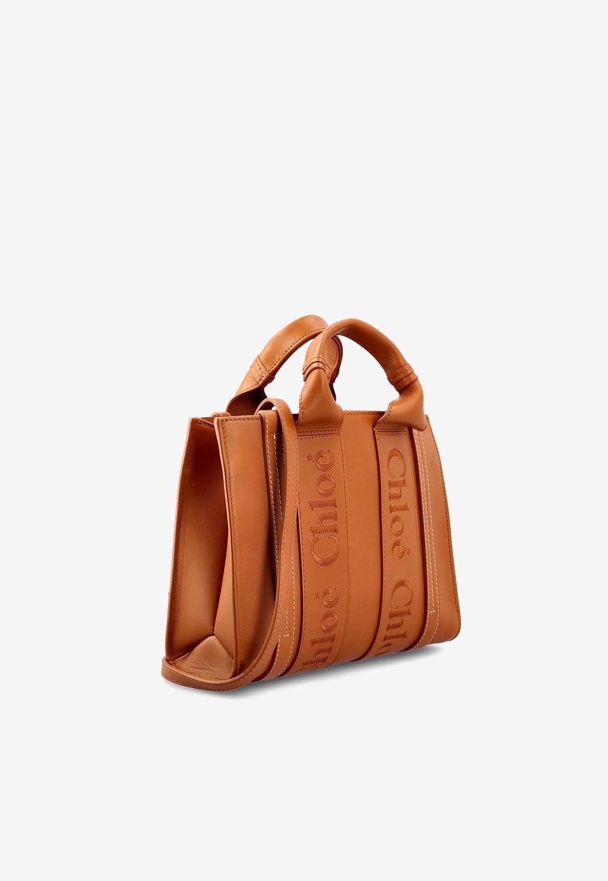 Petit Woody Cabas Bag en Calf en Cuir