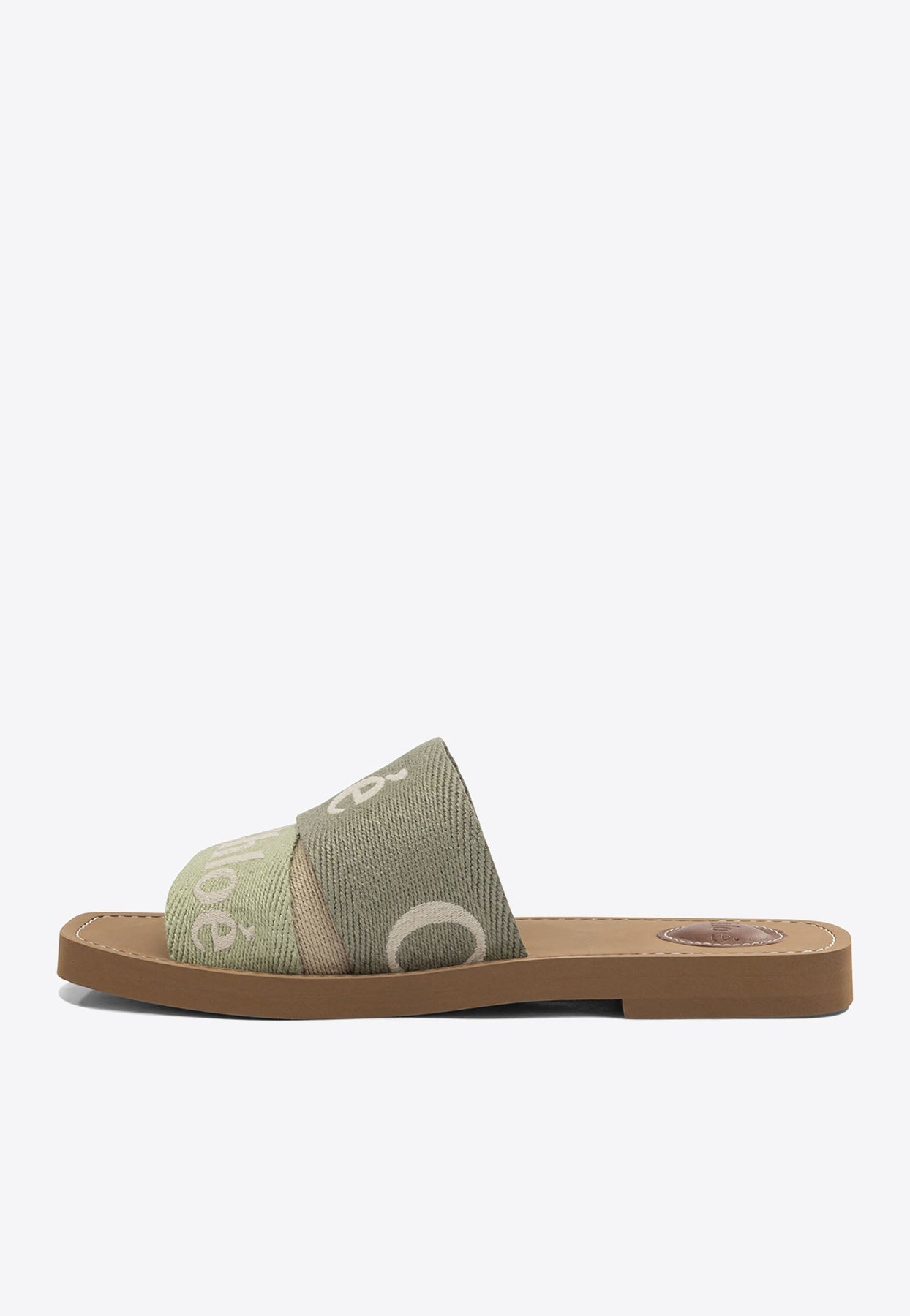 Woody Logo Slides